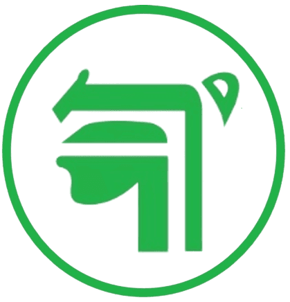 Domo Health 13